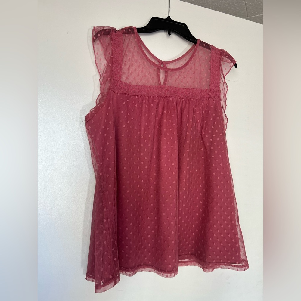 No Boundaries Pink Sheer Blouse